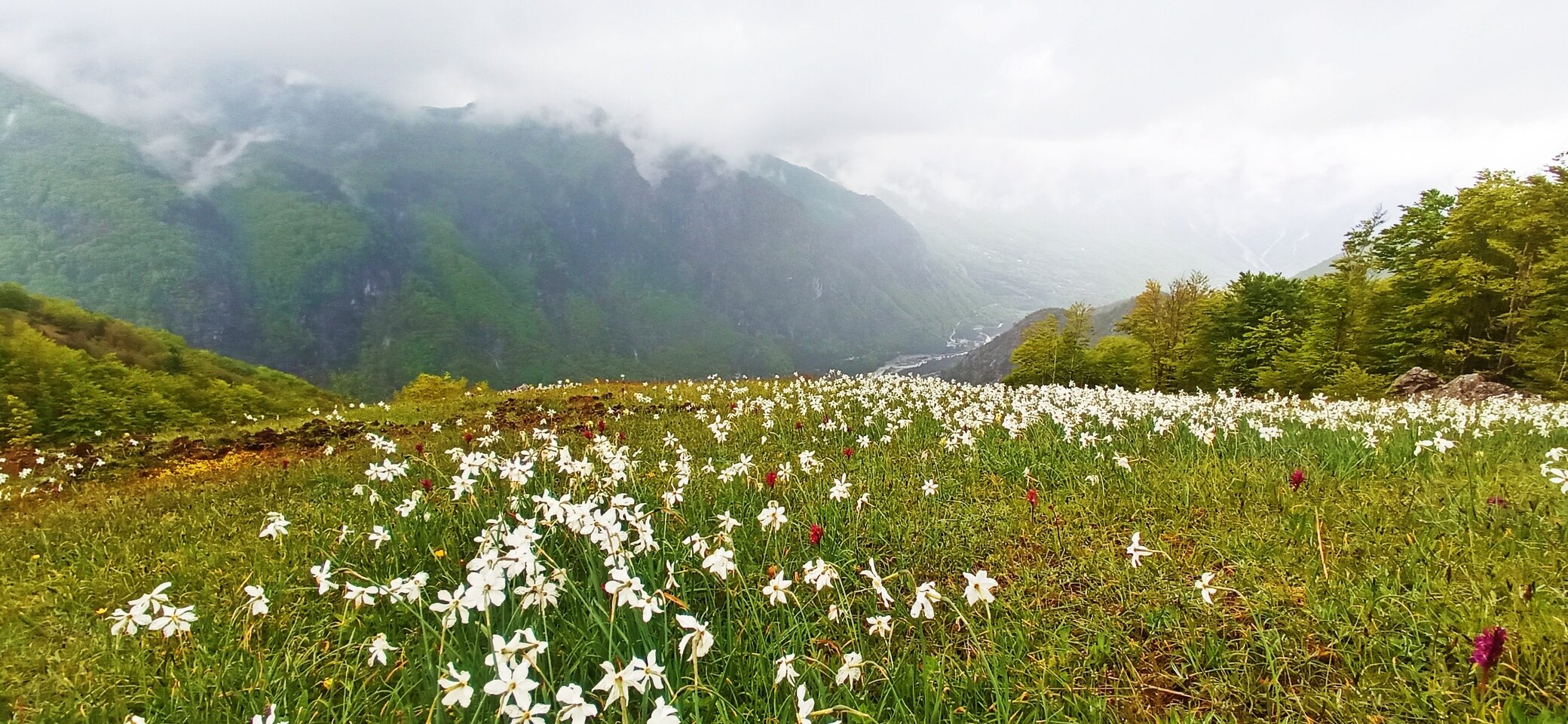 Albanien | © Thomas Tamke