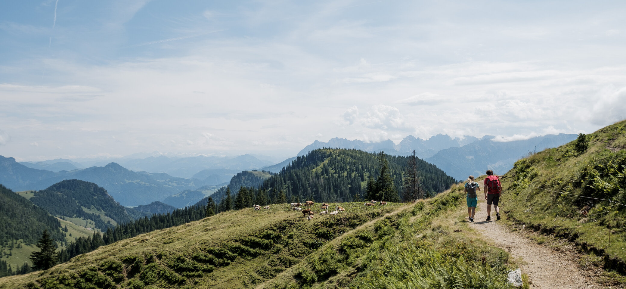 Zwei Wanderer auf einem Bergpfad in den Chiemgauer Alpen | © DAV/Hans Herbig