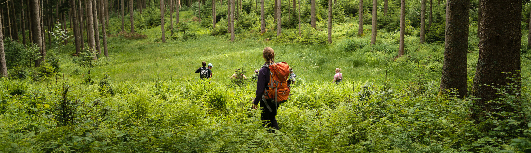 Aktion Schutzwald | © 	DAV/Arvid Uhlig